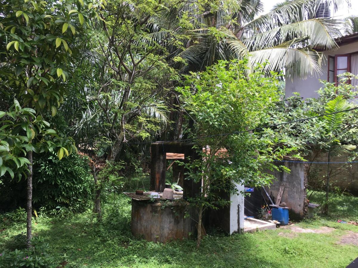 Wellington Vila Hikkaduwa Exterior foto